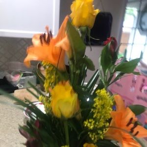 Meet your Posher, Ginnie